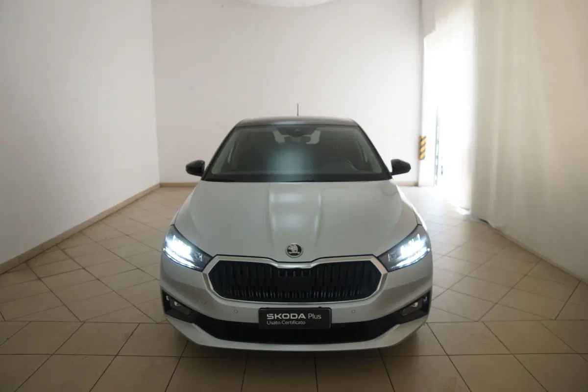 Skoda Fabia usata a Torino (20)