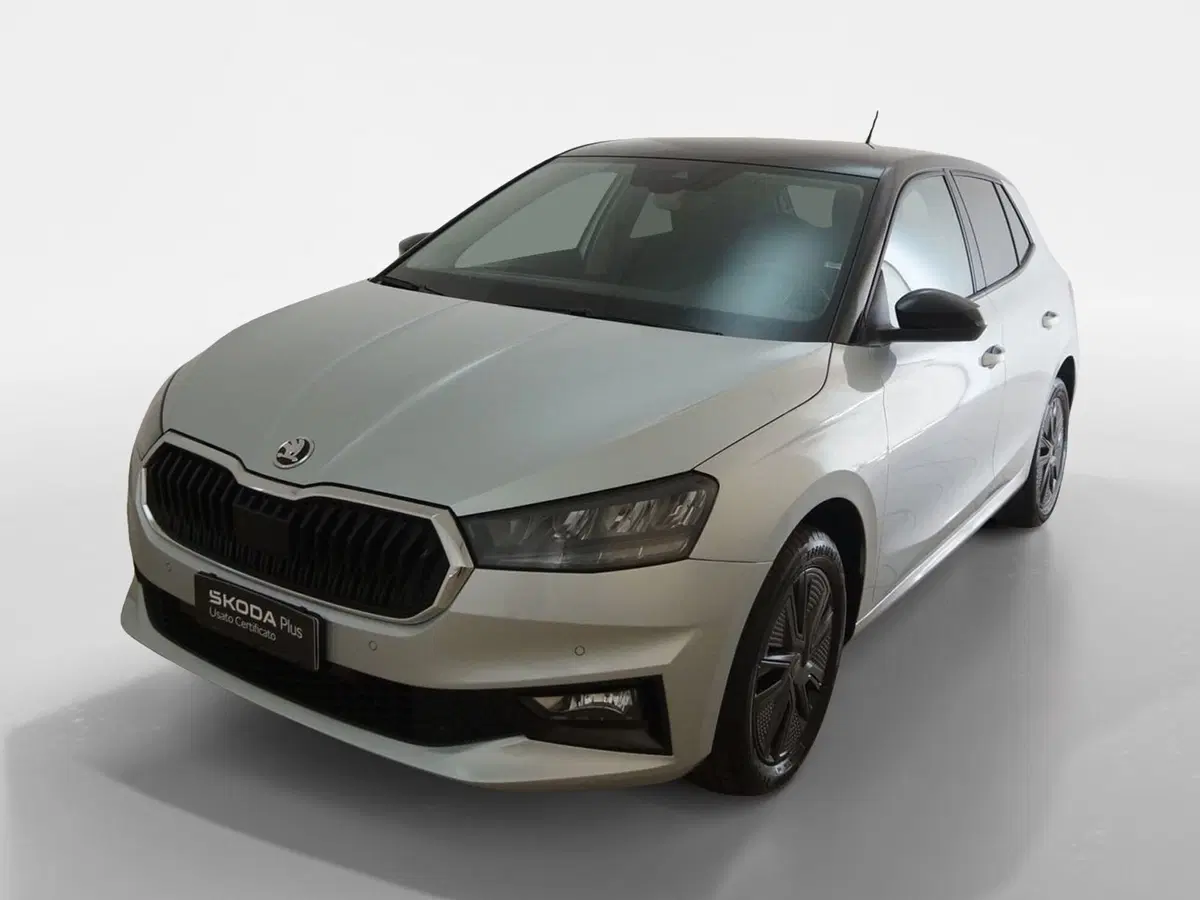 Skoda Fabia usata a Torino (3)