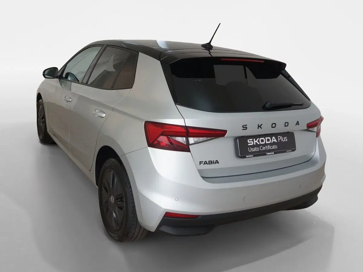 Skoda Fabia usata a Torino (4)