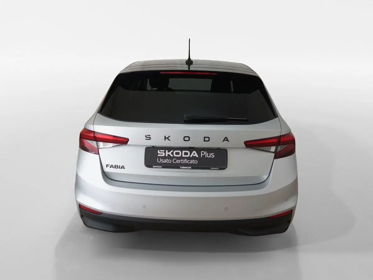 Skoda Fabia usata a Torino (5)