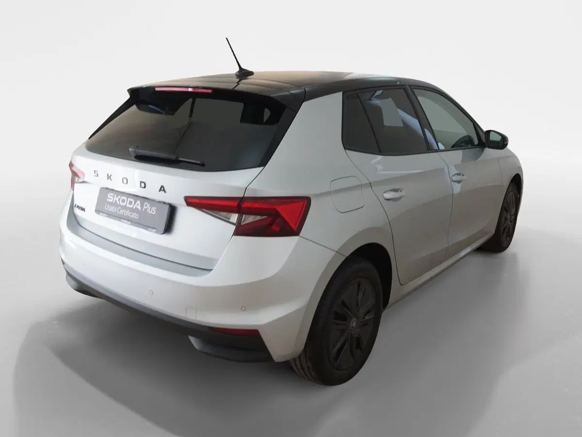 Skoda Fabia usata a Torino (6)