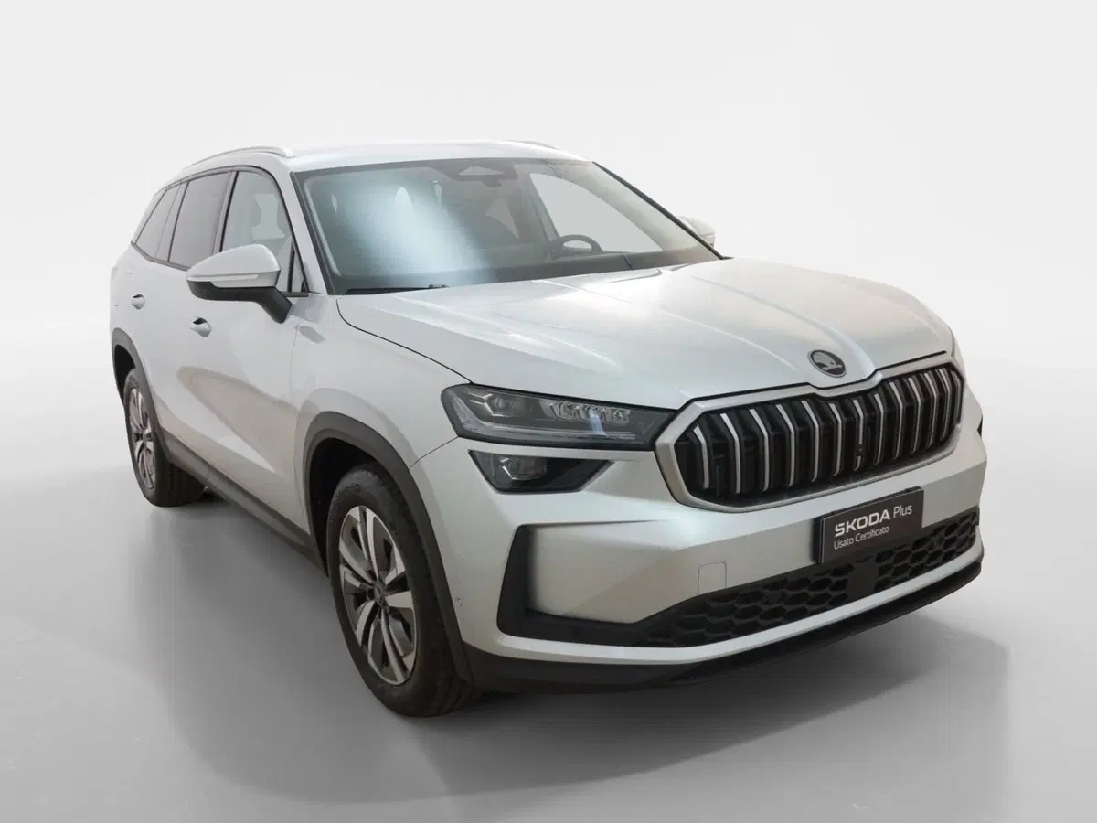 Skoda Kodiaq usata a Torino