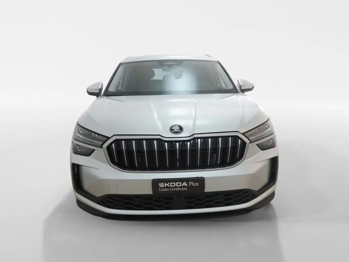 Skoda Kodiaq usata a Torino (2)