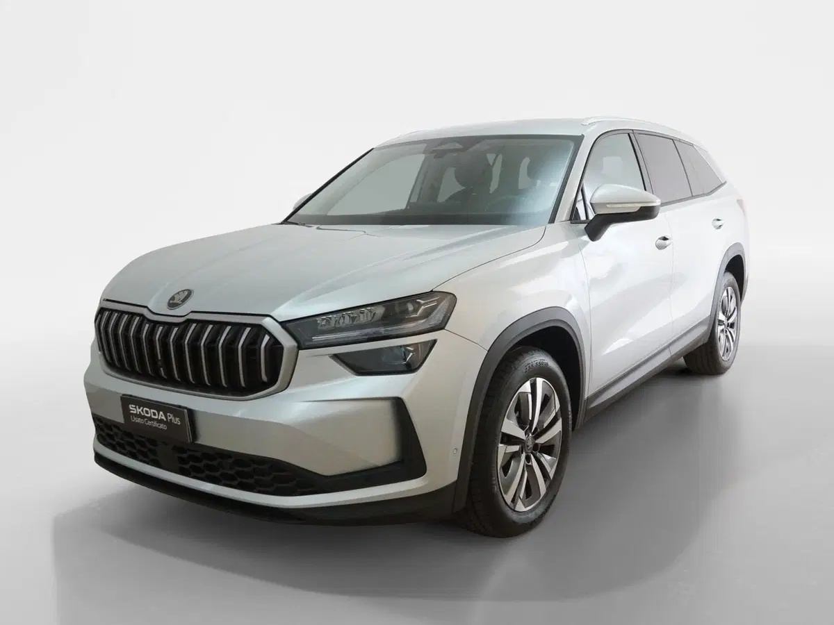 Skoda Kodiaq usata a Torino (3)