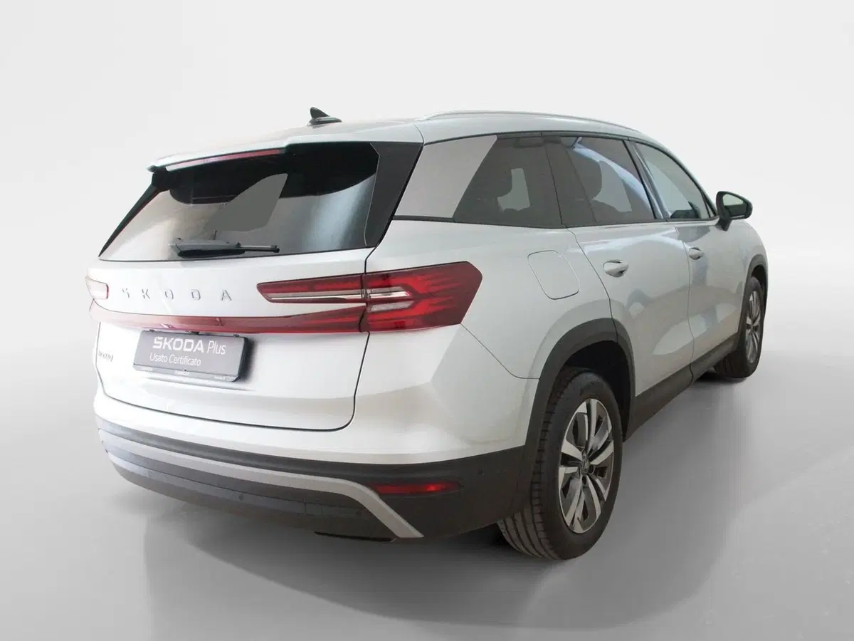 Skoda Kodiaq usata a Torino (6)