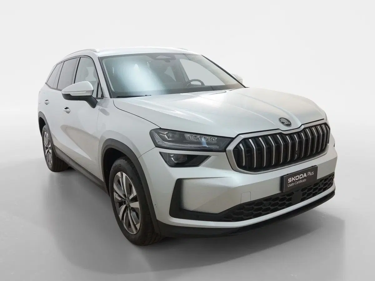 Skoda Kodiaq usata a Torino (7)