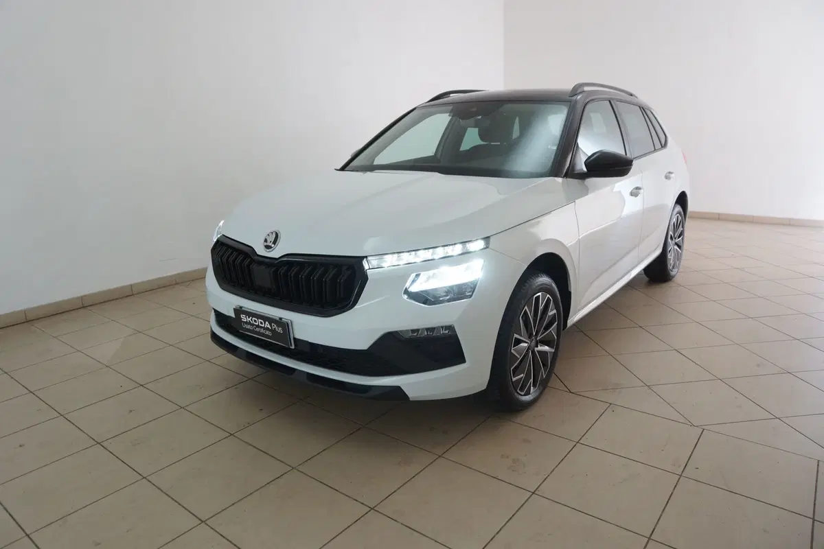 Skoda Kamiq usata a Torino (19)