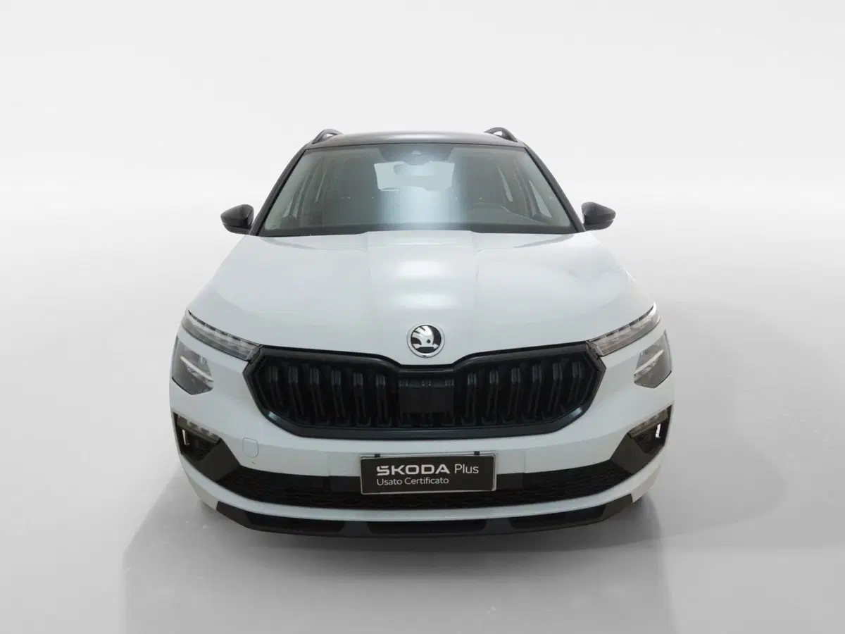 Skoda Kamiq usata a Torino (2)