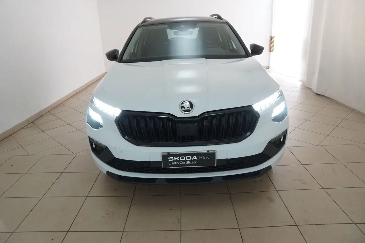 Skoda Kamiq usata a Torino (20)