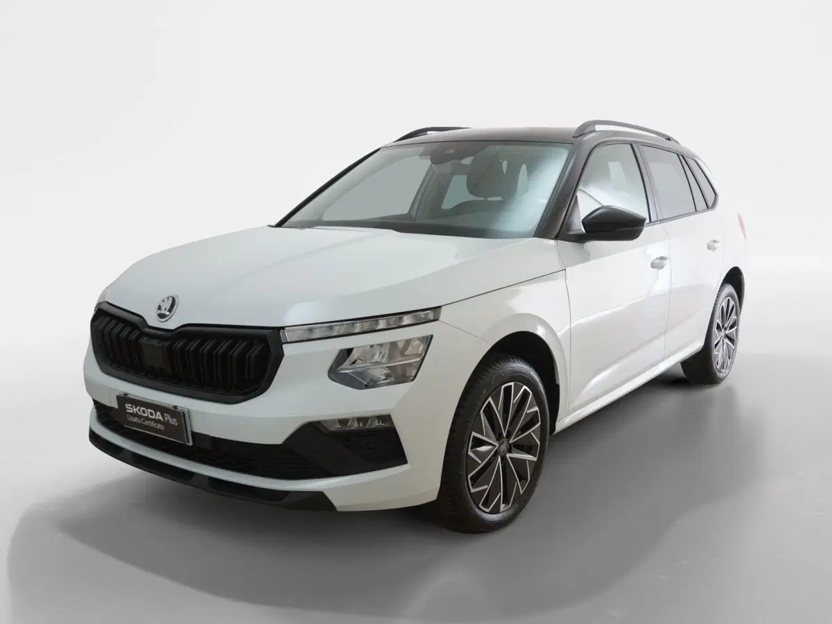 Skoda Kamiq usata a Torino (3)