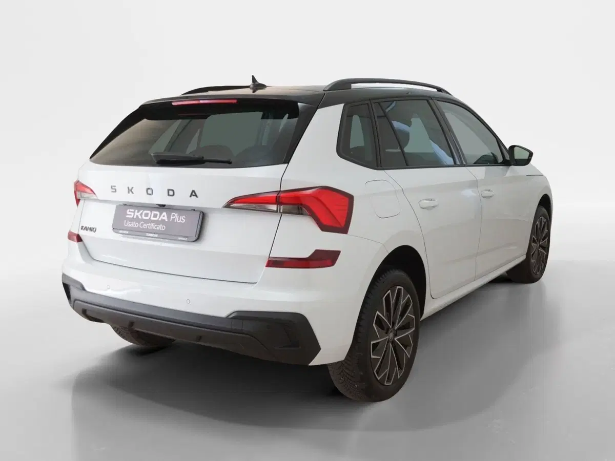 Skoda Kamiq usata a Torino (6)