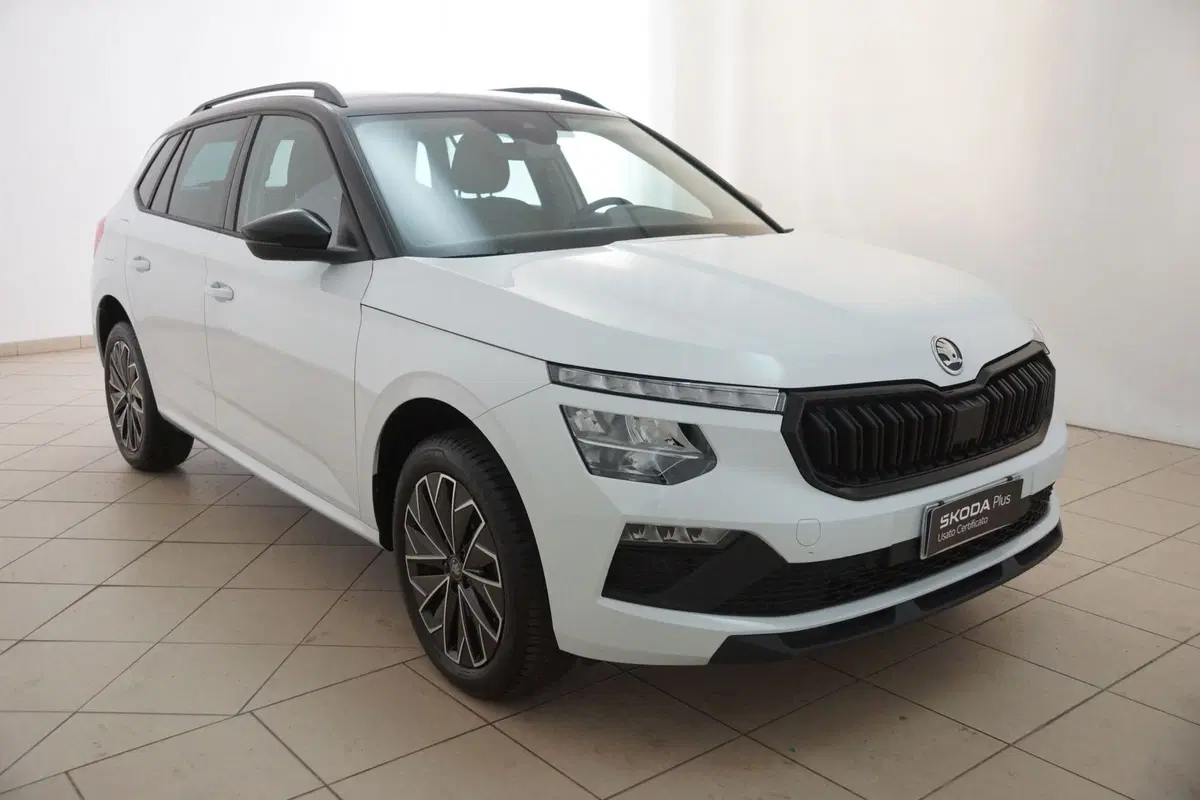 Skoda Kamiq usata a Torino (7)