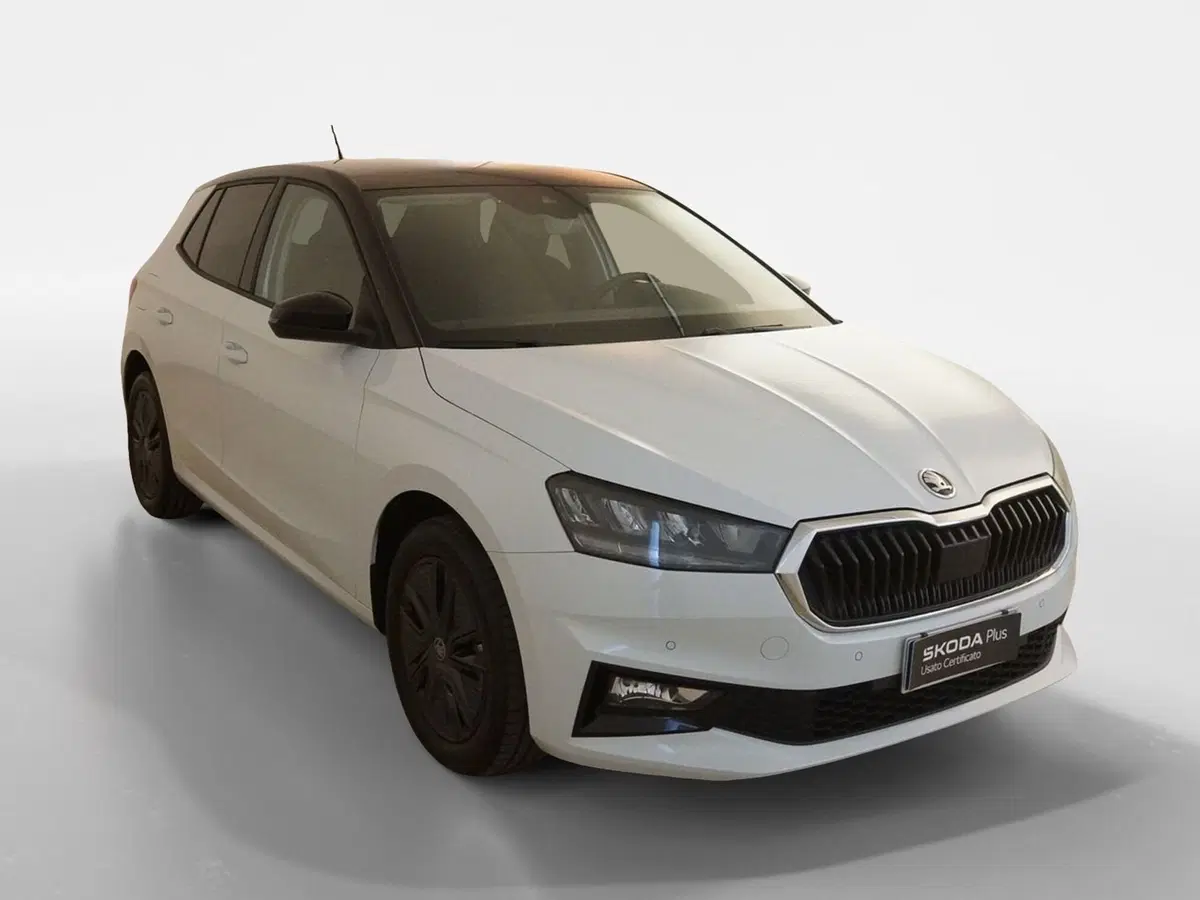 Skoda Fabia usata a Torino