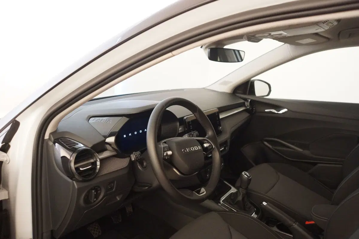 Skoda Fabia usata a Torino (10)