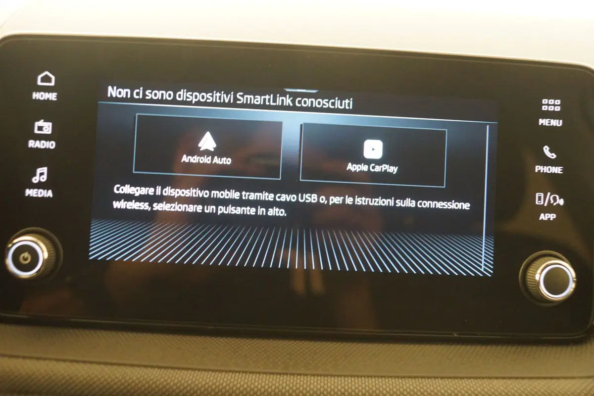Skoda Fabia usata a Torino (18)