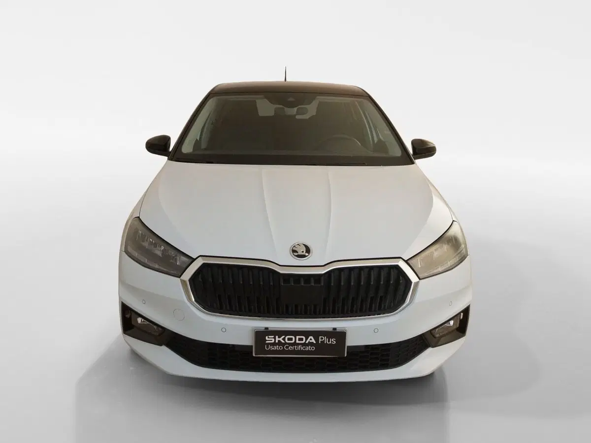 Skoda Fabia usata a Torino (2)