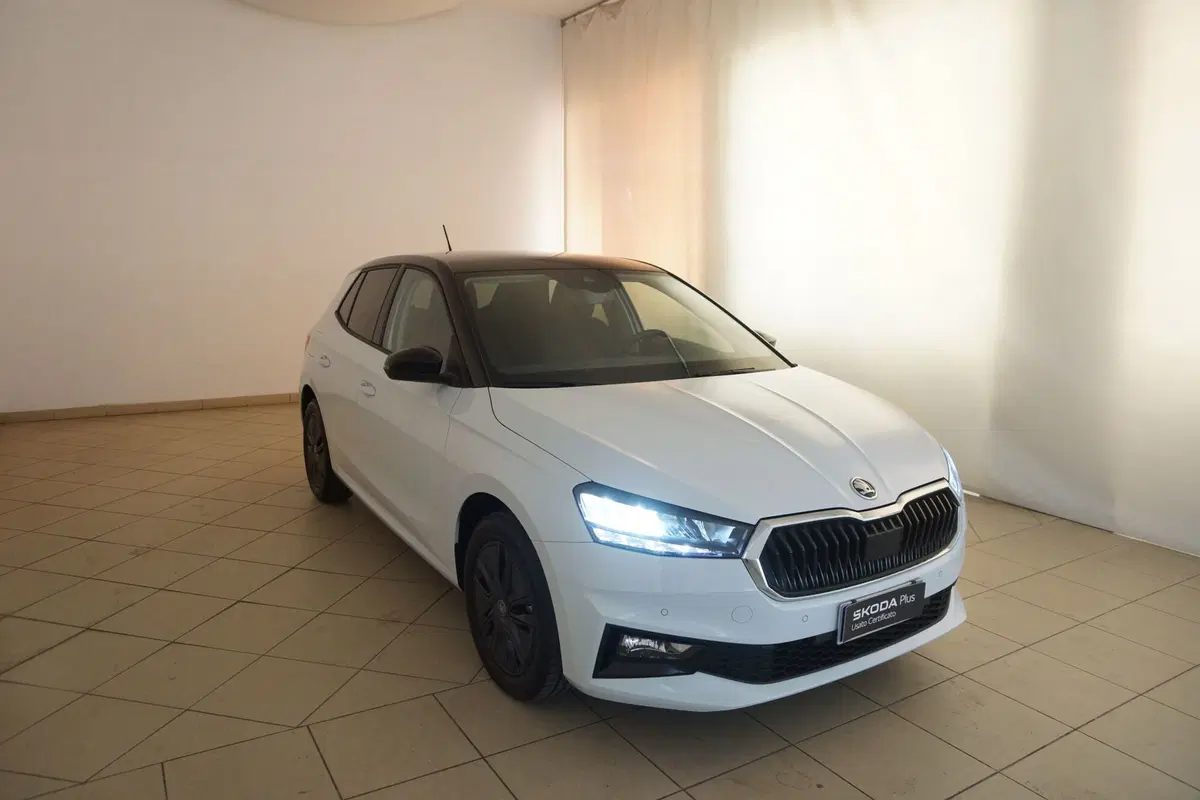 Skoda Fabia usata a Torino (20)