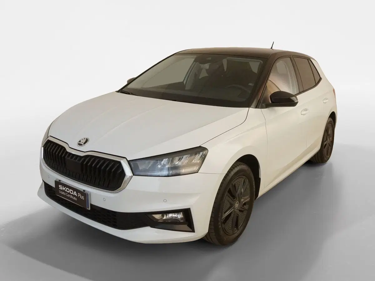 Skoda Fabia usata a Torino (3)