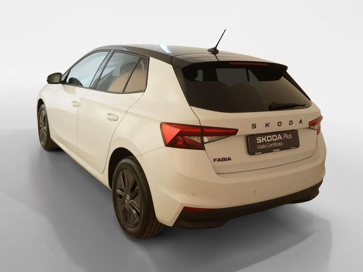 Skoda Fabia usata a Torino (4)