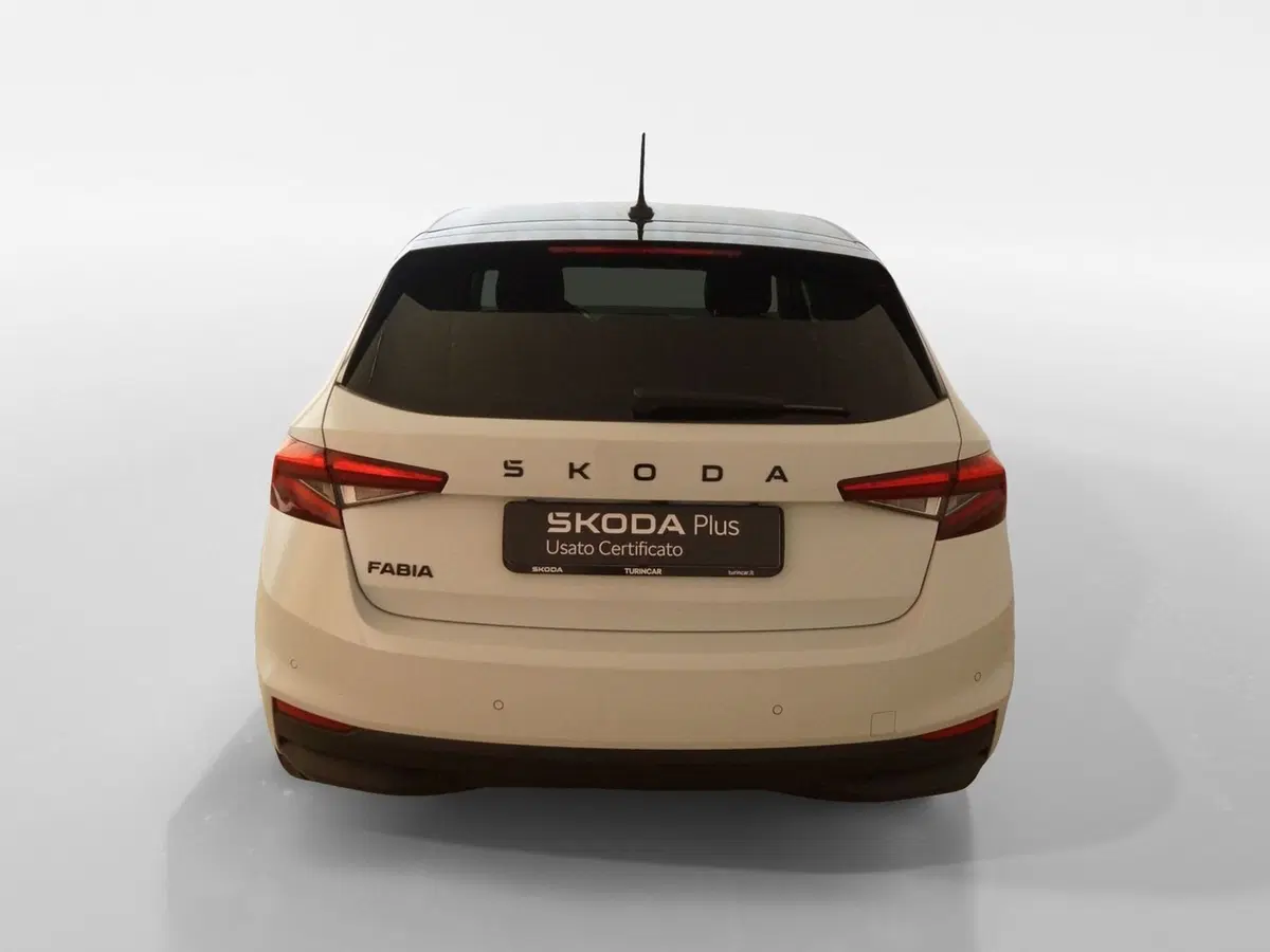 Skoda Fabia usata a Torino (5)