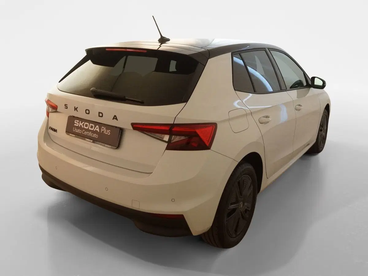 Skoda Fabia usata a Torino (6)
