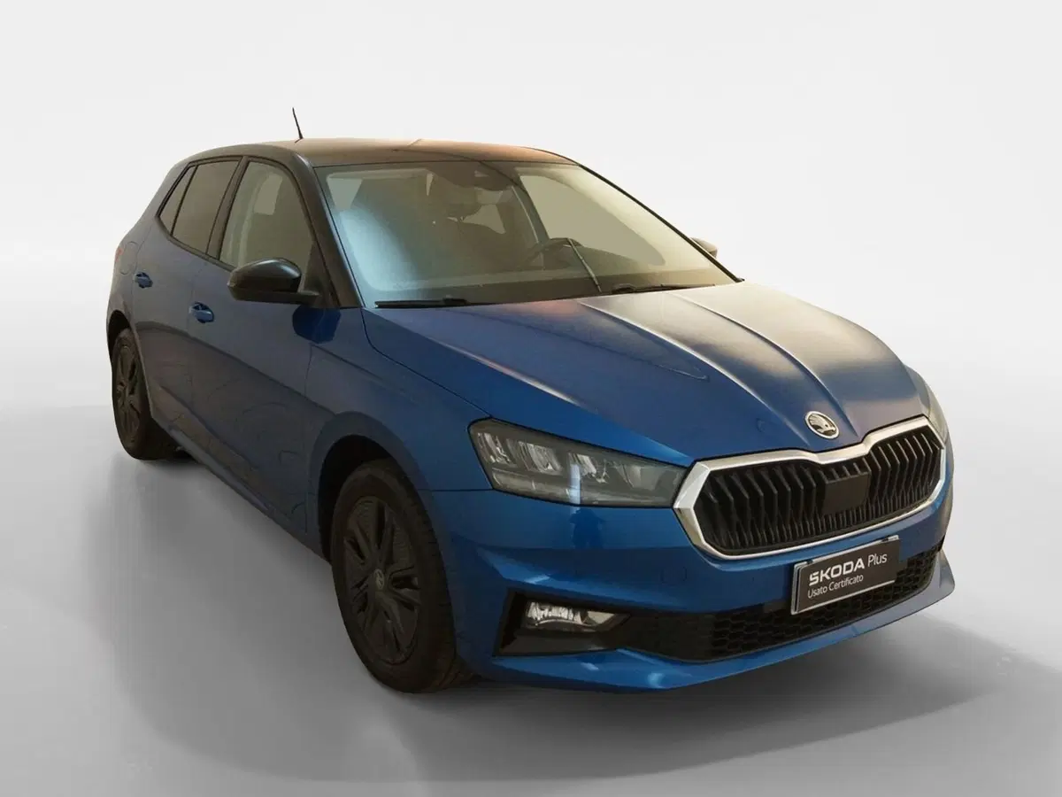 Skoda Fabia usata a Torino