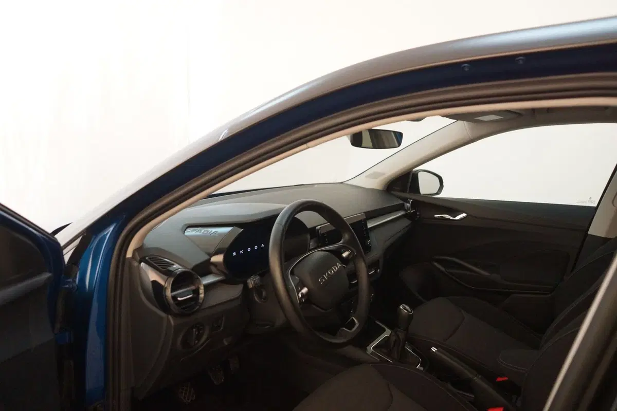 Skoda Fabia usata a Torino (10)