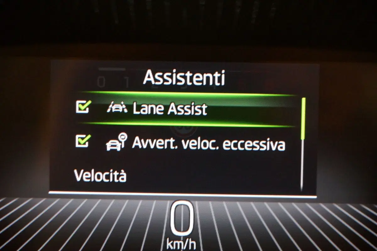 Skoda Fabia usata a Torino (15)
