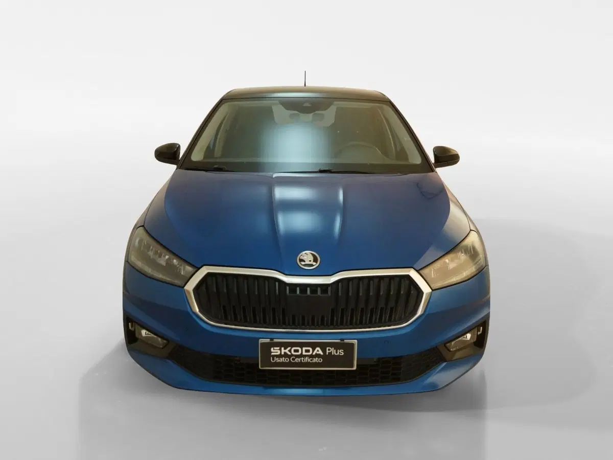 Skoda Fabia usata a Torino (2)