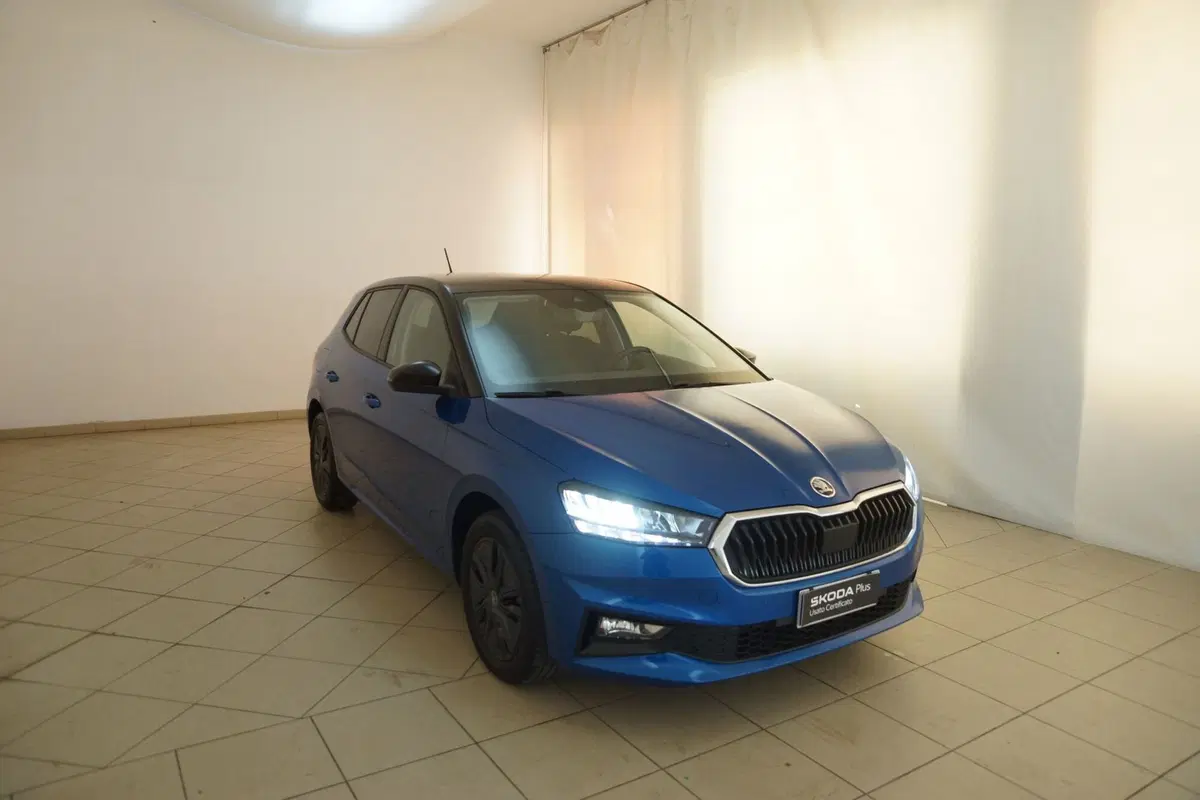 Skoda Fabia usata a Torino (20)