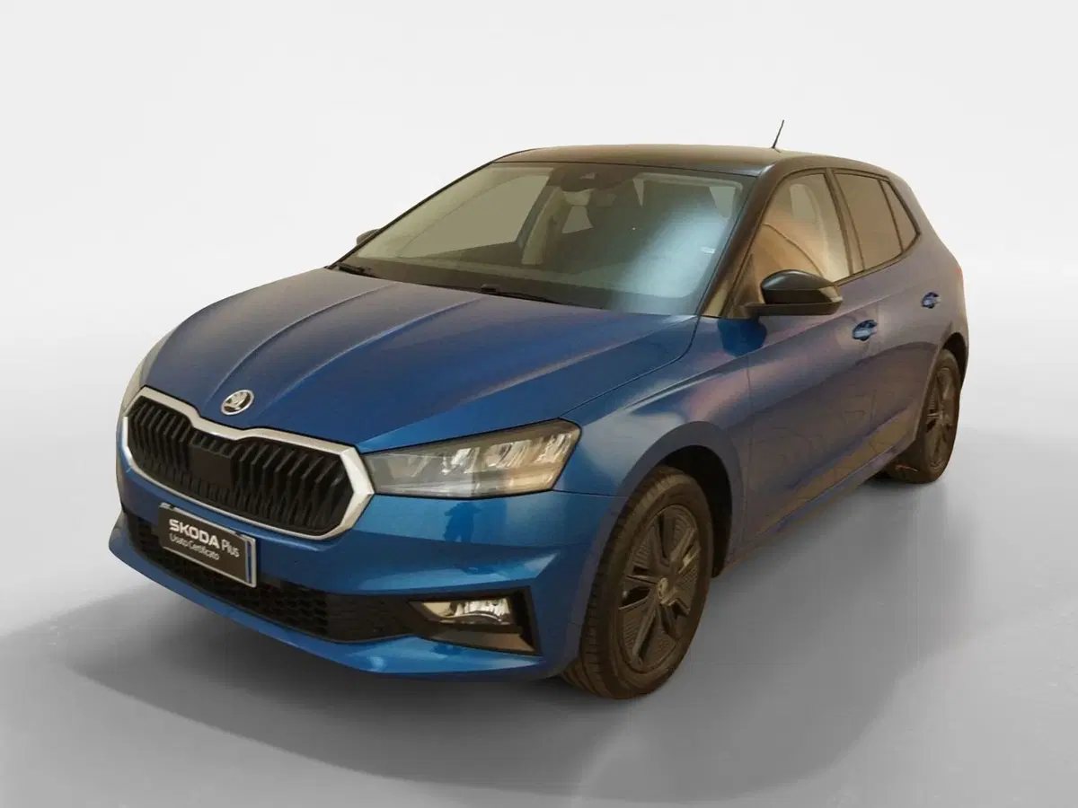 Skoda Fabia usata a Torino (3)