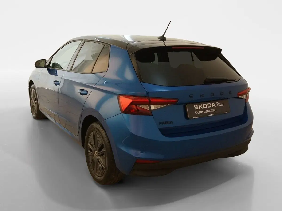 Skoda Fabia usata a Torino (4)