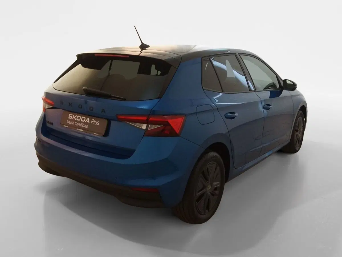 Skoda Fabia usata a Torino (6)