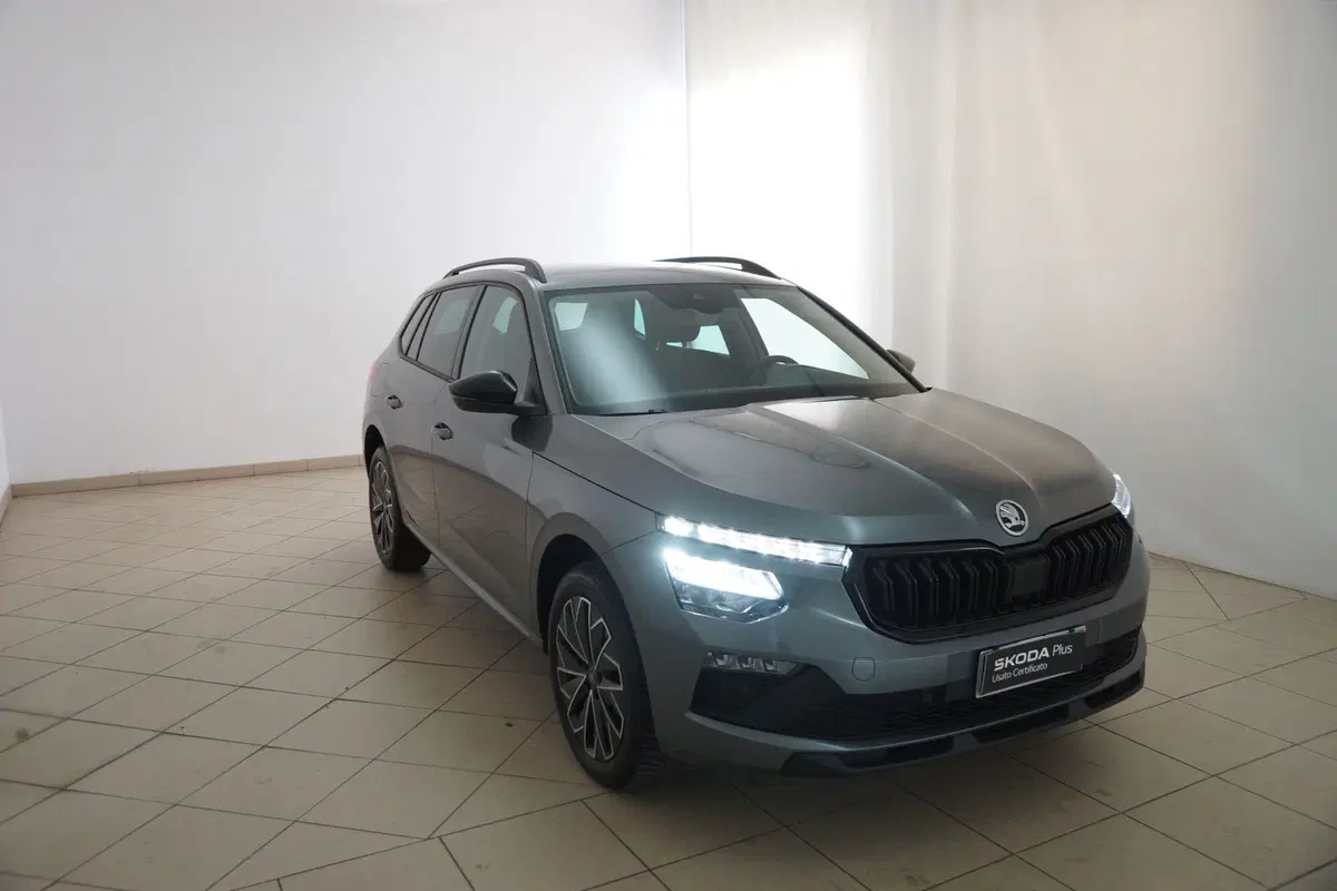 Skoda Kamiq usata a Torino (19)