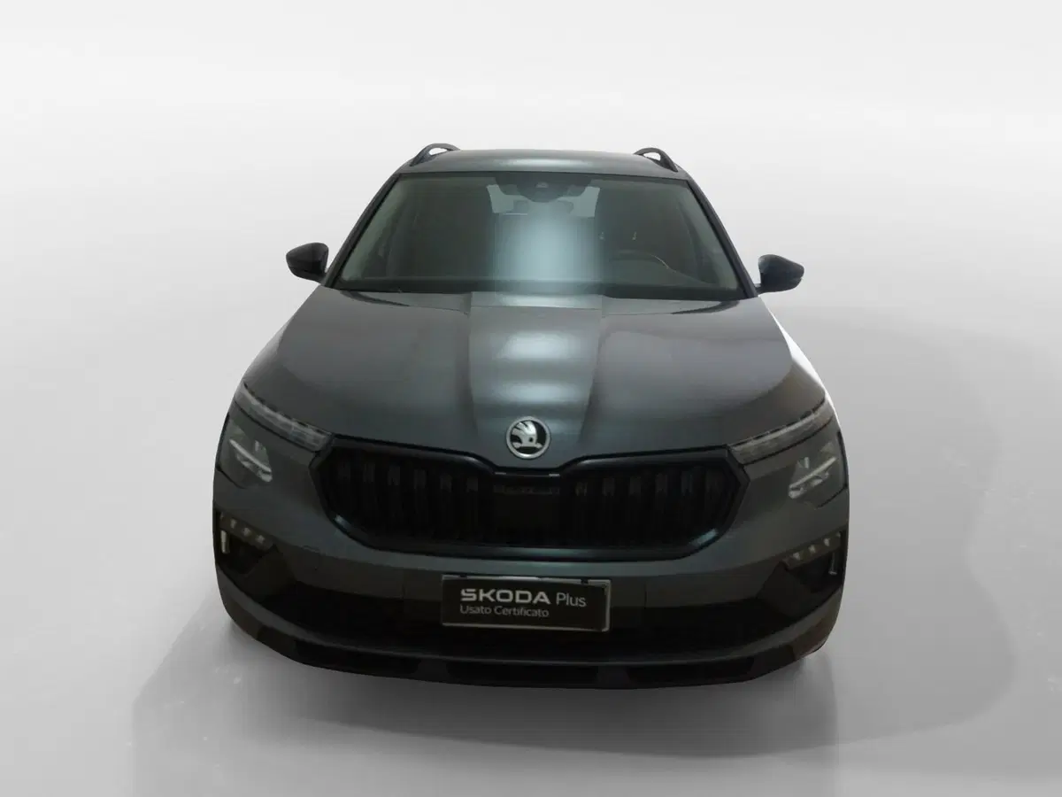 Skoda Kamiq usata a Torino (2)