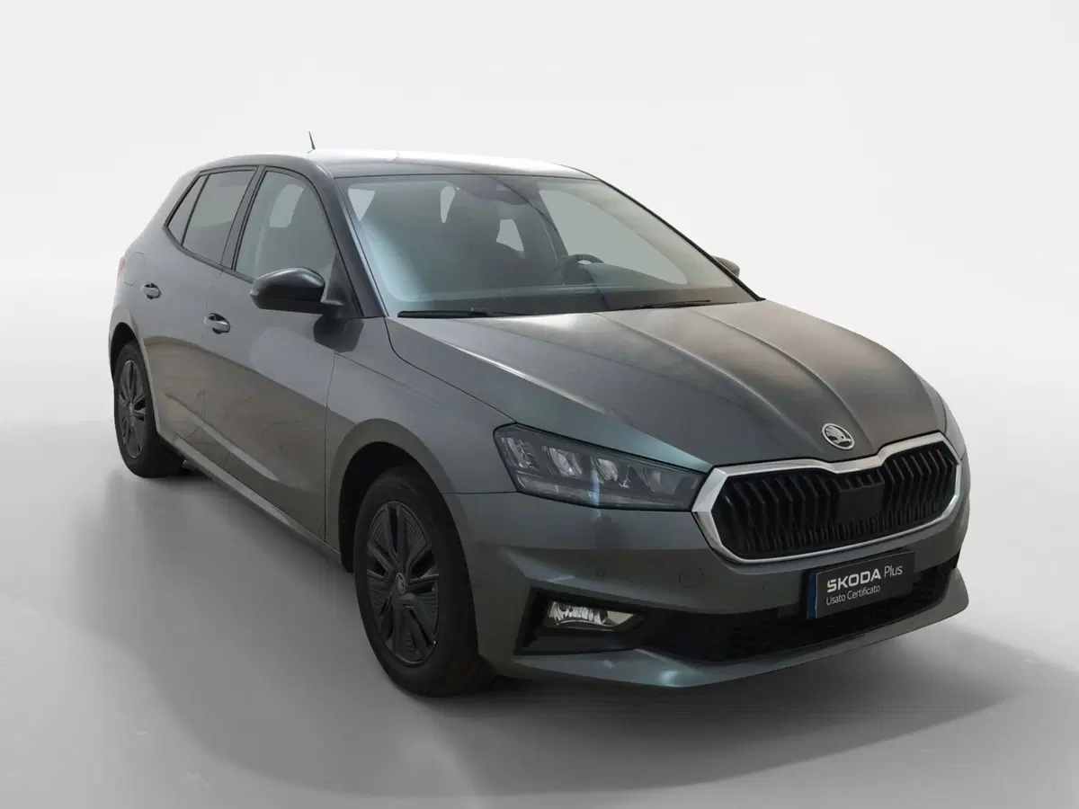 Skoda Fabia nuova a Torino
