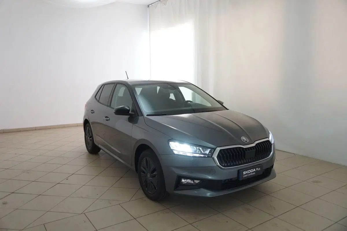 Skoda Fabia nuova a Torino (20)