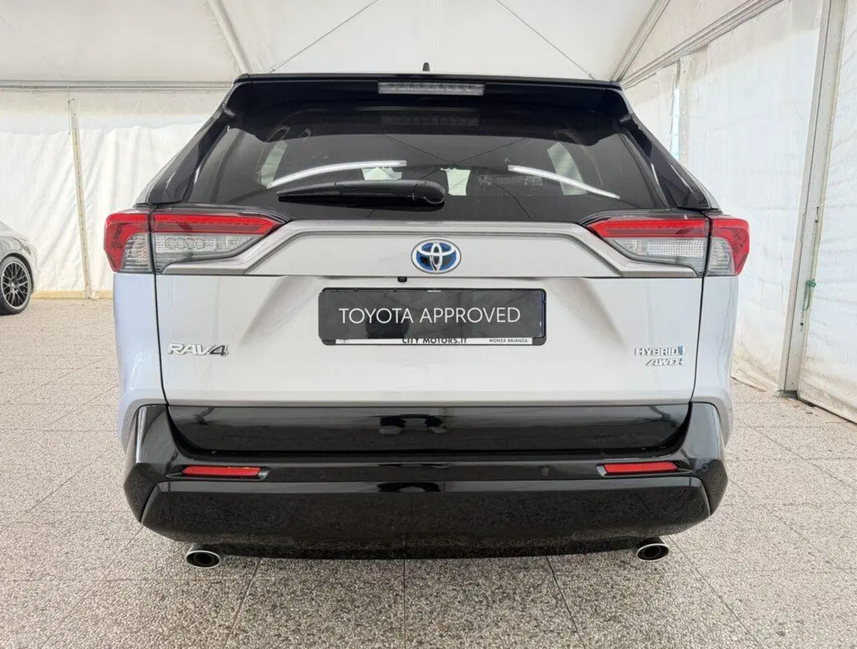 Toyota Rav4 usata a Monza e Brianza (6)