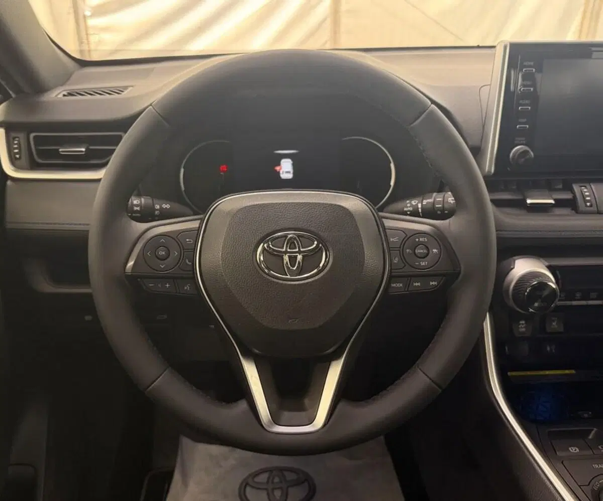 Toyota Rav4 usata a Monza e Brianza (8)