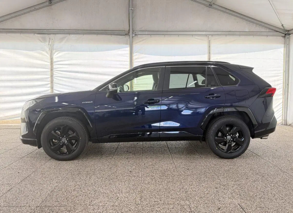 Toyota Rav4 usata a Monza e Brianza (4)