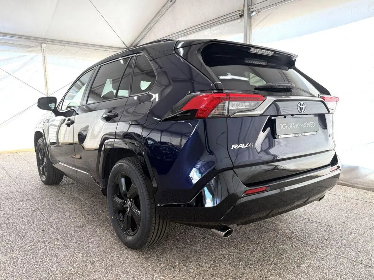 Toyota Rav4 usata a Monza e Brianza (5)