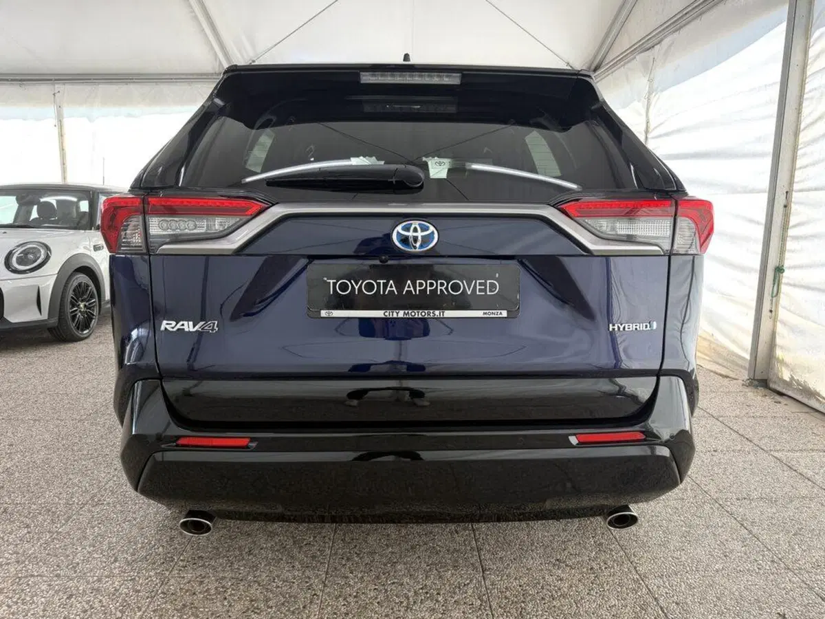 Toyota Rav4 usata a Monza e Brianza (6)