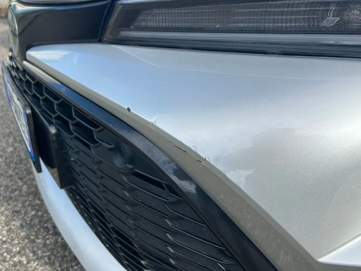 Toyota Corolla usata a Piacenza (16)