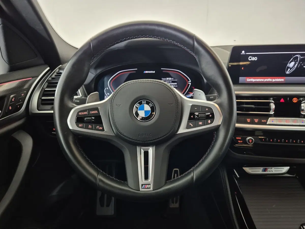 BMW X4 usata a Torino (10)