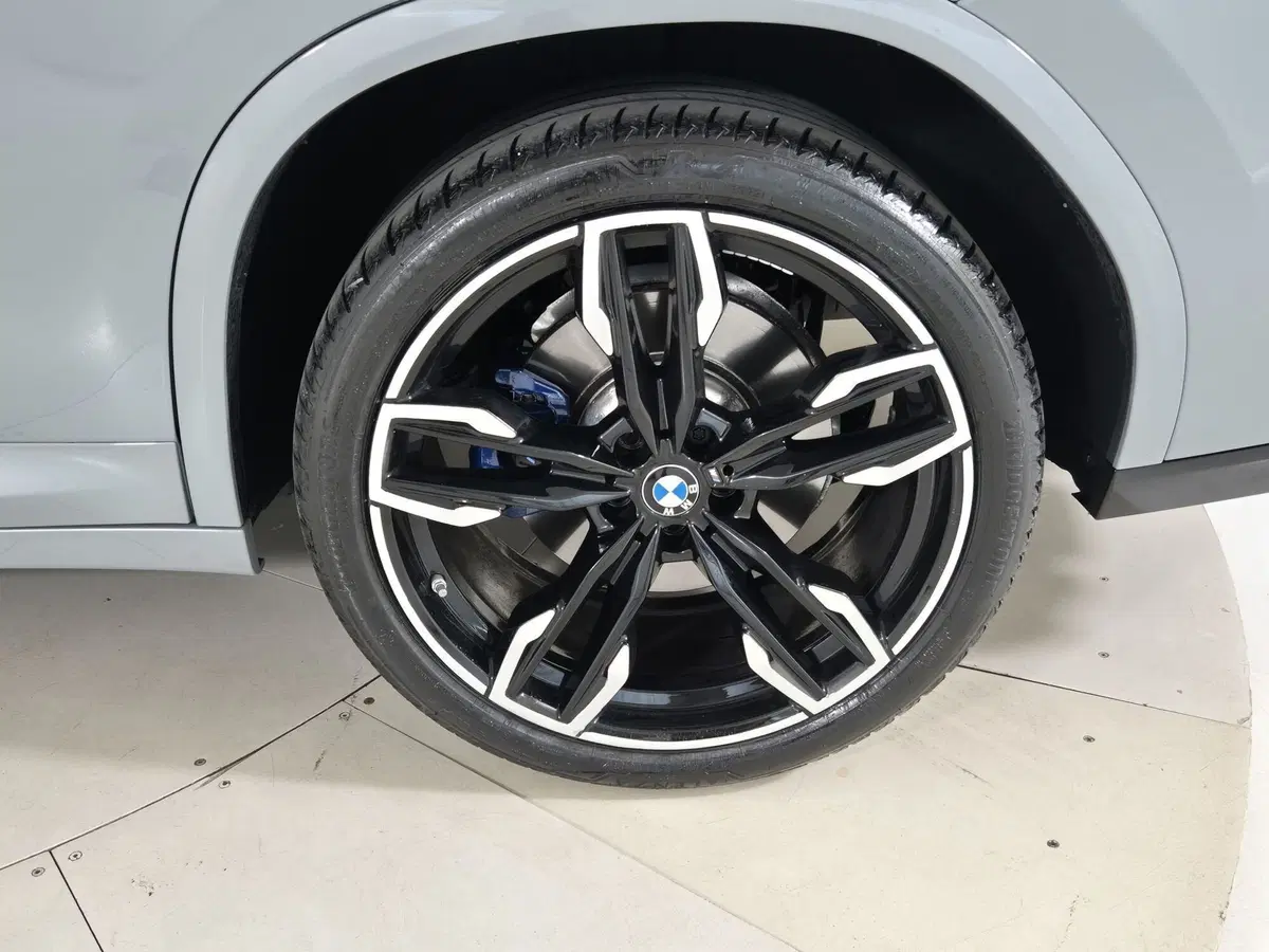 BMW X4 usata a Torino (15)