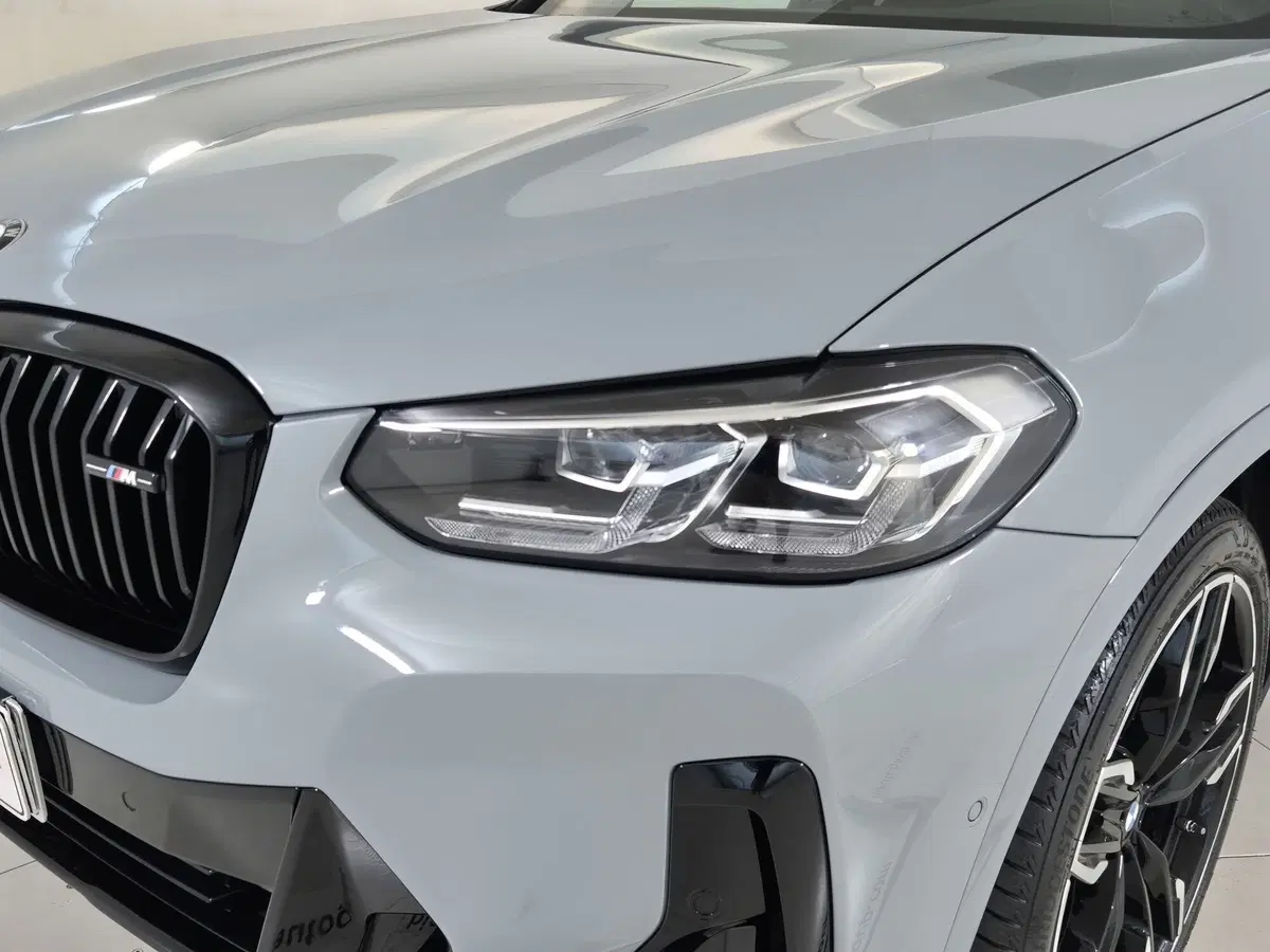 BMW X4 usata a Torino (20)