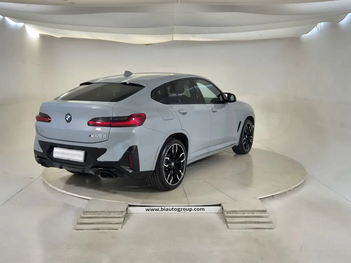 BMW X4 usata a Torino (5)