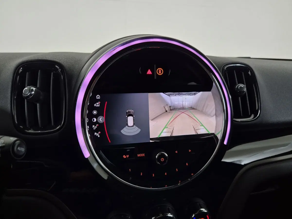 MINI Mini Countryman usata a Torino (17)