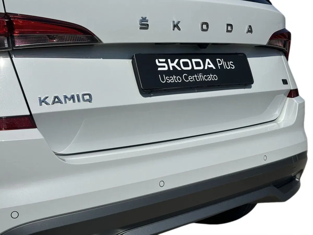 Skoda Kamiq usata a Pistoia (14)