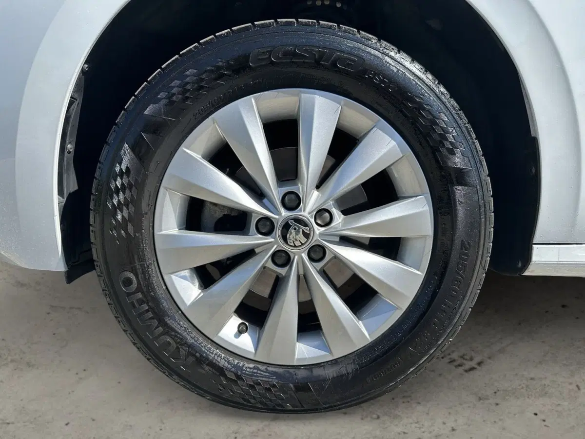 Skoda Kamiq usata a Pistoia (15)